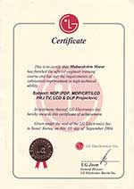 Проекторы LG 2004